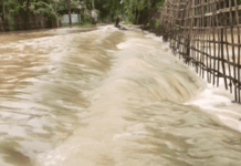 Assam floods: 1,089 hectares of crop area submerged