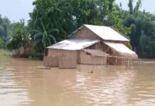 Assam flood situation worsens, over 10 districts affected