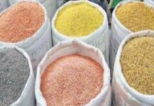 वित्त वर्ष 2025: अब तक कुल सरकारी सब्सिडी में खाद्य सब्सिडी का हिस्सा 50% से ज़्यादा रहा