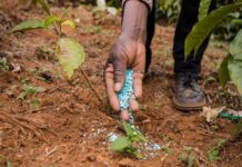 रब्बी हंगामासाठी फॉस्फेटिक आणि पोटॅसिक खतांवर 24,475 कोटी रुपयांच्या अनुदानाला केंद्रीय मंत्रिमंडळाची मंजुरी