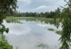 Trouble for farmers in Kerala as their farming season “Punchakrishi” gets delayed due to heavy rain