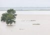 Water level in Godavari River reaches 48 feet at Bhadrachalam, flood warning issued