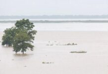 Water level in Godavari River reaches 48 feet at Bhadrachalam, flood warning issued