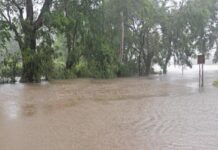 Kolhapur on alert as rivers swell, threatening floods