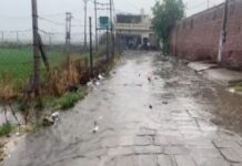 Karnal gets first monsoon showers; farmers to benefit
