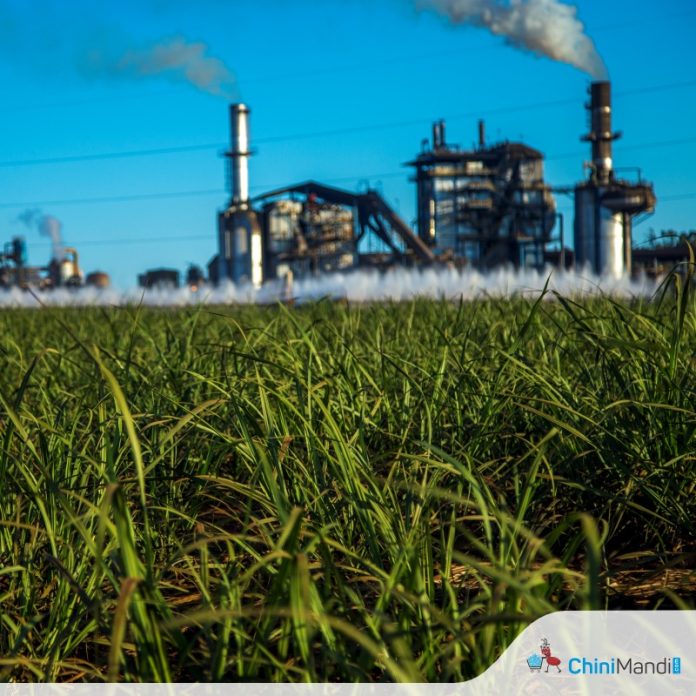 Sugar Sector News