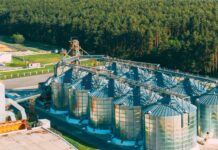 Fuelling India’s future: The green revolution of CBG, Green Hydrogen, and SAF