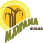 Mawana Sugars Limited reports earnings