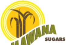 Mawana Sugars completes sale of equity and preference shares in Siel IE and Siel IED for Rs. 117 crore
