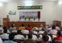 Wave Industries aims to promote modern sugarcane farming techniques; focus on sugarcane intercropping and 5T technology