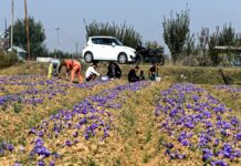 India signs USD 98 mn loan agreement with Asian Development Bank to boost horticulture productivity