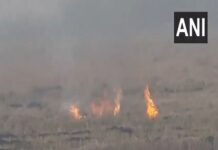 मध्य प्रदेश : कार्रवाई के बावजूद गेहूं की पराली जलाने की घटनाएं देश में सबसे ज्यादा