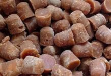 कोल्हापूर बाजार समितीत यंदा गुळाची आवक वाढली