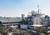 Sugar Production
