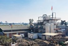 Sugar Production