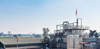 Sugar Production