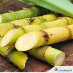 પંજાબ ખેડૂતોની ઓર્ગેનિક મીઠાઈઓ: શેરડીના ઉત્પાદનો 2027 સુધી અગાઉથી બુક કરાવ્યા