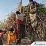 सातारा : ‘कृष्णा’च्या महिला शेतकरी ऊस शेती ज्ञानलक्ष्मी प्रशिक्षणासाठी रवाना