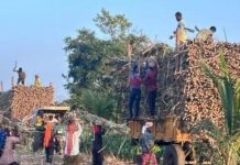 सातारा- ऊस मुकादमांकडून लाखोंची फसवणूक : शेख यांच्या आरोपाला वाहतूकदारांचे उत्तर