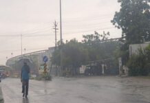 Rain, gusty winds lash parts of Punjab and Himachal; IMD issues orange alert for hill districts