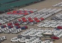 Auto industry witnesses 11.6% YoY increase in domestic sales in CY 2024: SIAM