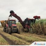 ऊस तोडणीसाठी आधुनिक तंत्रज्ञानाचा वापर करण्याचे शास्रज्ञांचे आवाहन