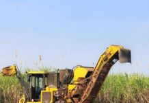 गुयाना : गायसुको को द्वारा मशीनीकृत कटाई के लिए ठेकेदारों की तलाश जारी
