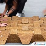 उत्तर प्रदेश में चीनी मिल की राख से बन रही मजबूत व सस्ती ईंटें