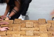 उत्तर प्रदेश में चीनी मिल की राख से बन रही मजबूत व सस्ती ईंटें