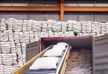 Sugar exports: Industry eyes Jan–Mar window despite 4-year low global prices