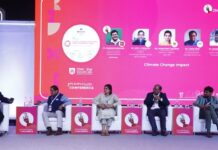 Climate change challenges domestic sugar industry