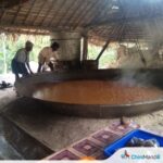 कोल्हापूर : जिल्ह्यातील गुळ उद्योग अडचणीत, एक हजारहून अधिक गुऱ्हाळघरे बंद