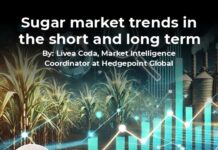 Hedgepoint: Sugar market trends in the short and long term