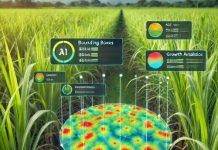 वसंतदादा चीनी संस्थान ने महाराष्ट्र के 5,000 गन्ना किसानों के लिए एआई सब्सिडी दोगुनी की