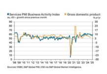 India’s services sector grows faster in February amid rising demand India economic news