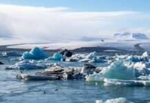 Rising temperatures drove 41 per cent surge in peak power demand across India in 2023: Report