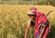 District cane officer inspects ongoing cane survey work, sets deadline to June 15
