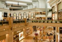 Indian retail sector sees 55% leasing growth in Q1-2025, driven by malls and prominent streets: Report