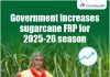 किसानों को खुशखबरी: कैबिनेट ने 2025-26 सीजन के लिए गन्ने के FRP में 15 रुपये प्रति क्विंटल की वृद्धि को मंजूरी दी