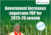 किसानों को खुशखबरी: कैबिनेट ने 2025-26 सीजन के लिए गन्ने के FRP में 15 रुपये प्रति क्विंटल की वृद्धि को मंजूरी दी