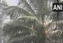 केरळमध्ये मुसळधार पावसाचा तडाखा, अनेक जिल्ह्यांमध्ये शैक्षणिक संस्था बंद