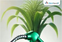 केंद्र सरकारने साखर निर्यात, इथेनॉलबाबत धोरण जाहीर करण्याची मागणी