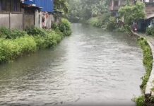Cyclone Biparjoy to enter Rajasthan, weaken into deep depression, bring heavy rainfall: IMD