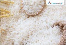 ભારત માટે તૂટેલા ચોખાના 100% વૈશ્વિક ખરીદદારો પાછા મેળવવા મુશ્કેલ છે.