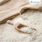 IREF ने केंद्रीय बजट 2026 में चावल निर्यात, किसानों की आय बढ़ाने के लिए वित्त मंत्री से आग्रह किया