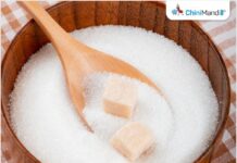 Dalmia Bharat Sugar reports resilient financial performance