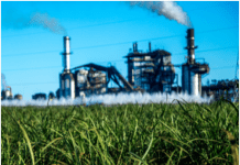 Uttar Pradesh: Minister to announce expansion plan for Baghpat sugar mill