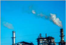 Shamli: Sugar mills face reduction in procurement centers over delay in cane payment