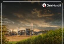 Changes expected to ensure stability in domestic market: ISMA on formulation of Sugar (Control) Order, 2025