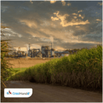 Japan sees significant long-term potential in Philippines’ sugarcane sector: Ambassador Endo Kazuya